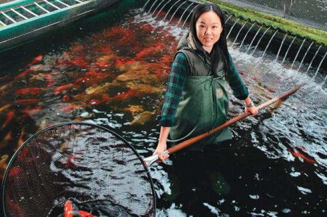 富家千金一夜清白如洗，摇身一变成“锦鲤女王