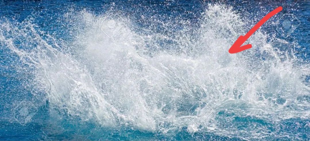 对14岁的全红婵，外媒清一色好评，外国网友用一张图说明她的厉害