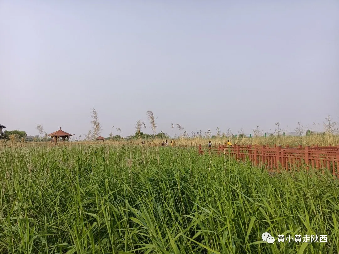 陜西這個(gè)大牌度假區(qū)很不錯(cuò)！美食很多消費(fèi)低,，最低30元就能住一晚