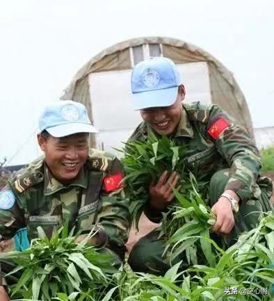 非洲人吃不饱饭埋怨土地差，看到中国维和士兵