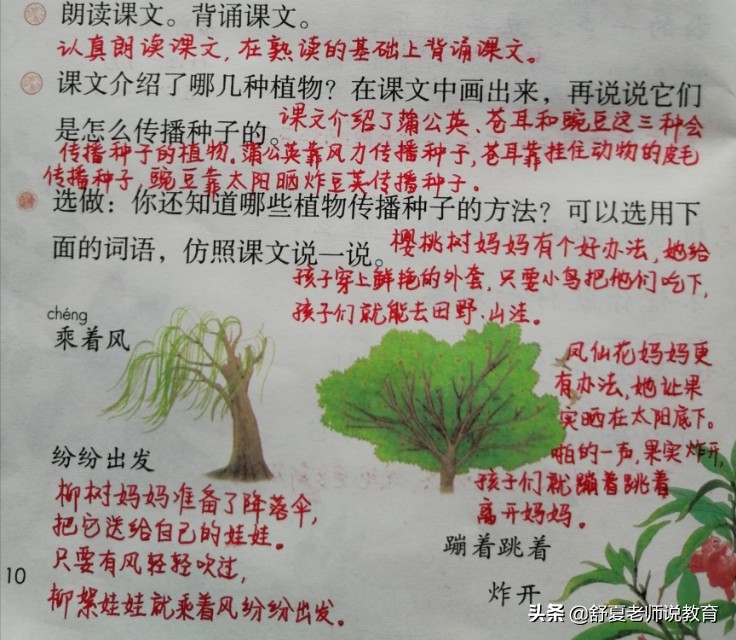 二年级语文《植物妈妈有办法》备课笔记，知识点解析，很实用