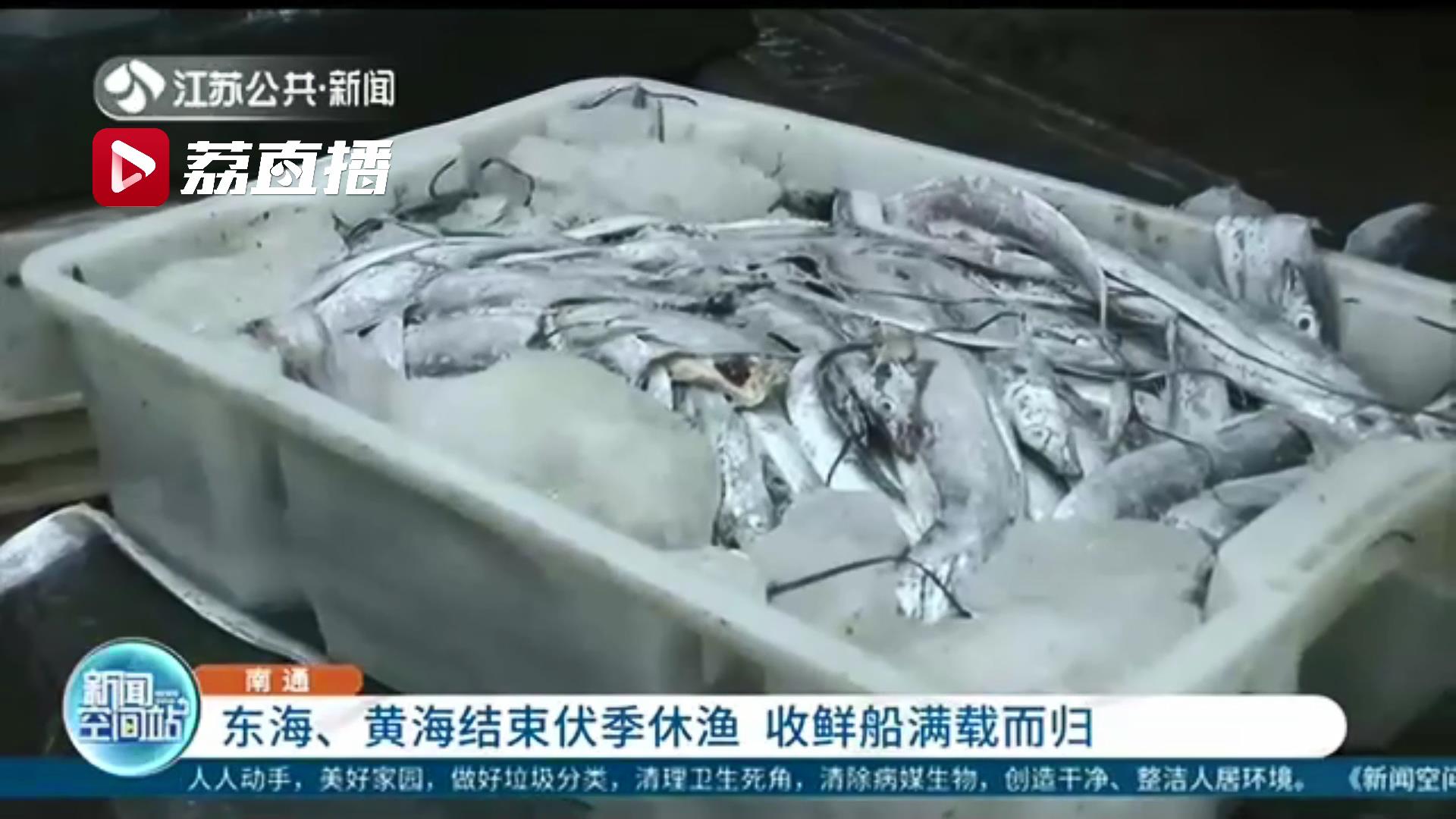 东海、黄海结束伏季休渔 收鲜船满载而归