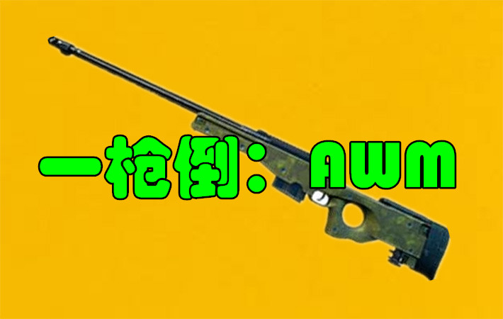 绝地求生：一枪必倒的3把枪械，第1枪王之王，第3众生平等之枪！