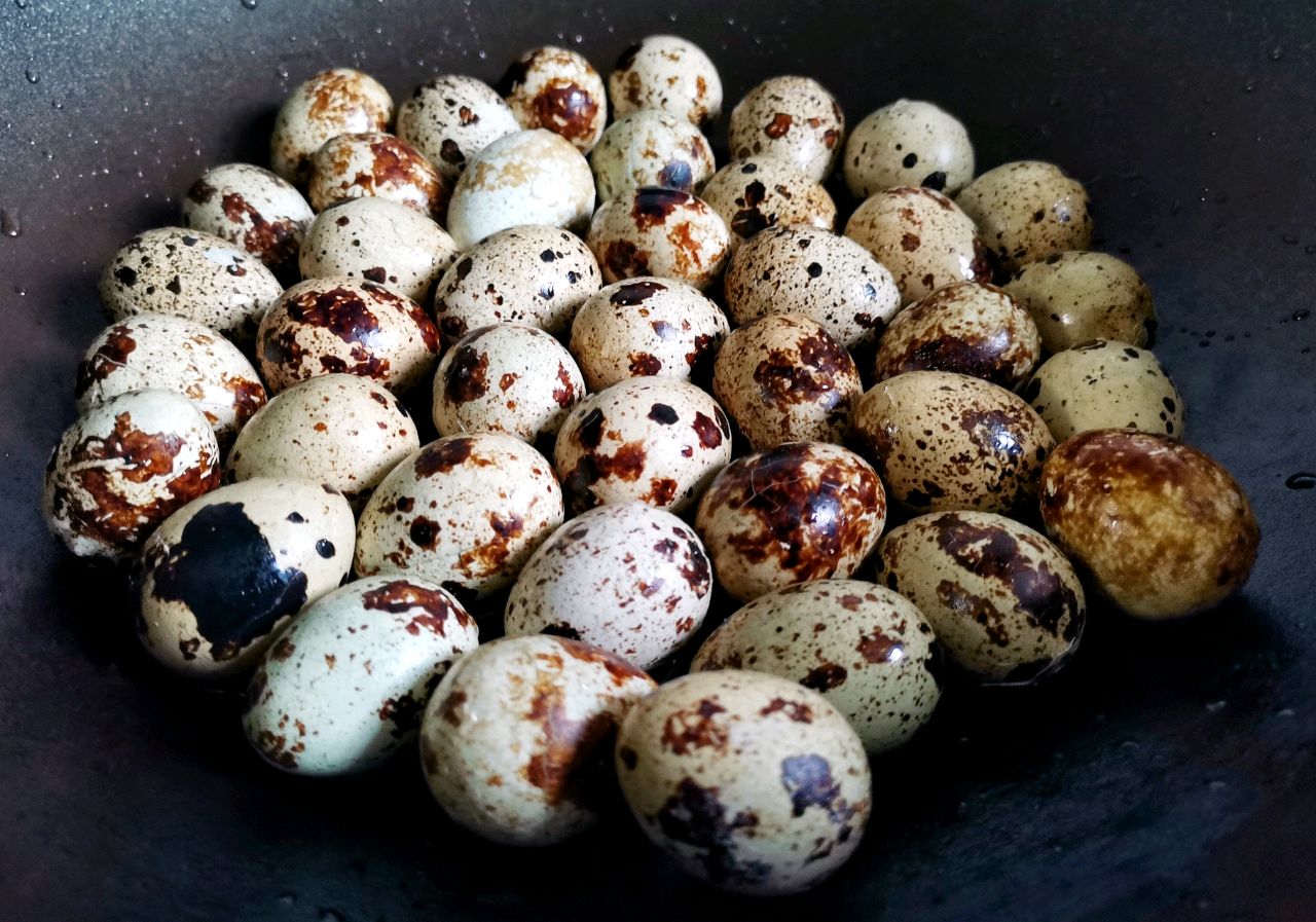 家常五香卤鹌鹑蛋，做法简单，Q弹好吃，一口一个停不下来