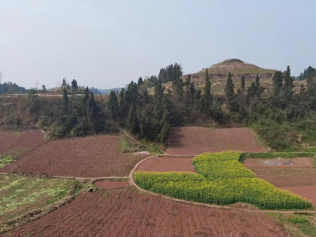 CAT9时讯｜九尾猫集团各地渠道代表参观荣昌基地