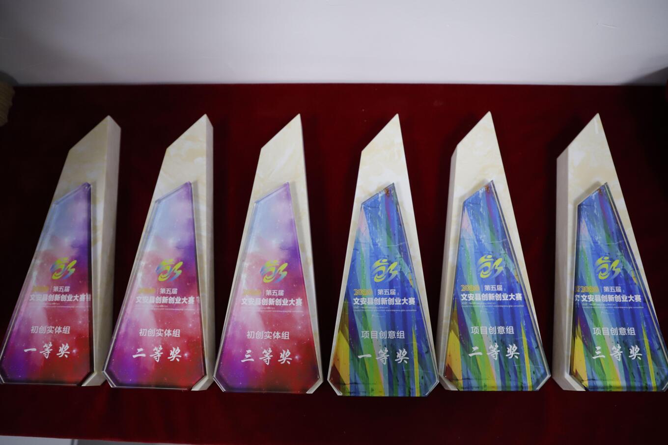 文安县第五届创新创业大赛圆满收官