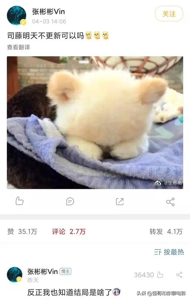 " Si Teng " big ending delay broadcasts