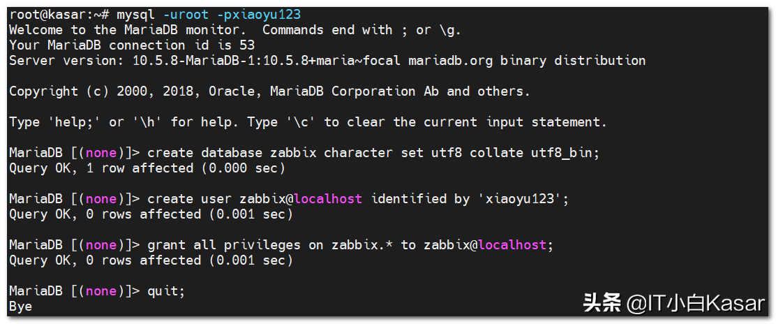 放弃CentOS转战ubuntu~Zabbix5.2安装指南