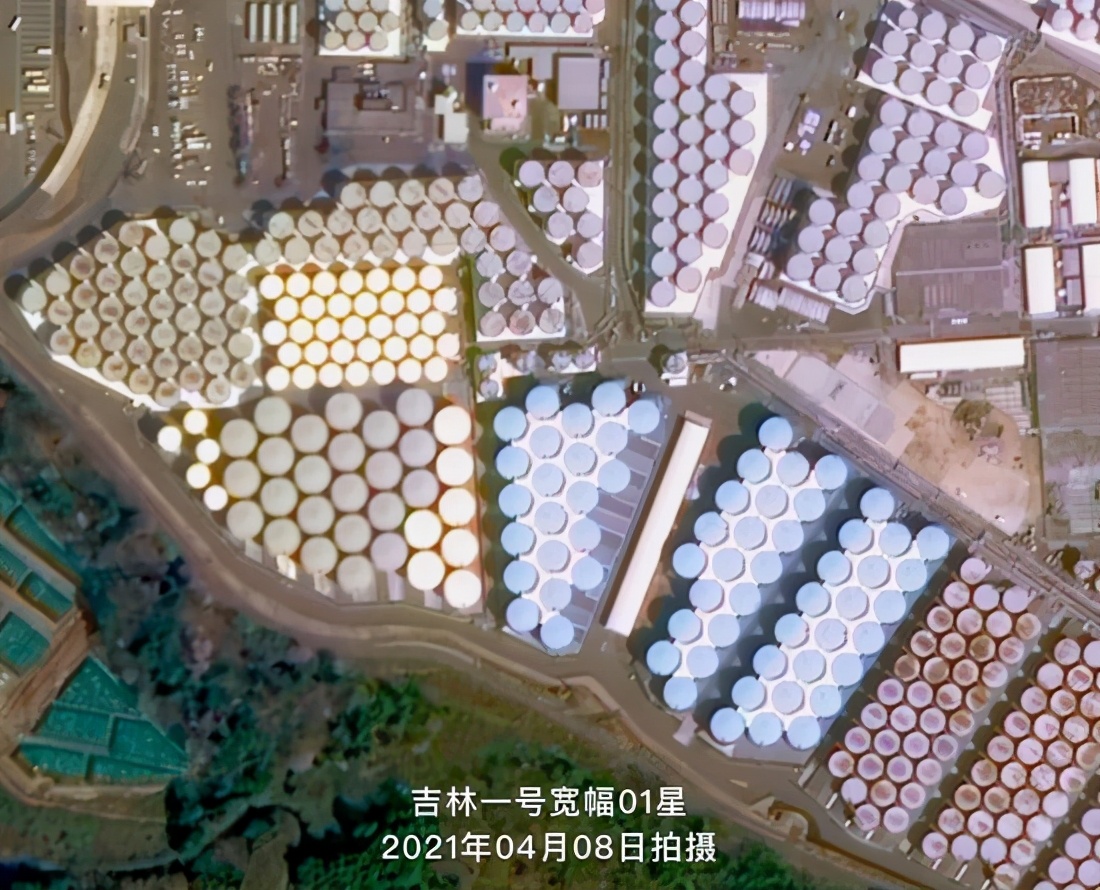 �й�������ȫ����ץ�ĸ����˷�ˮ�������㿴��ʲô�С���