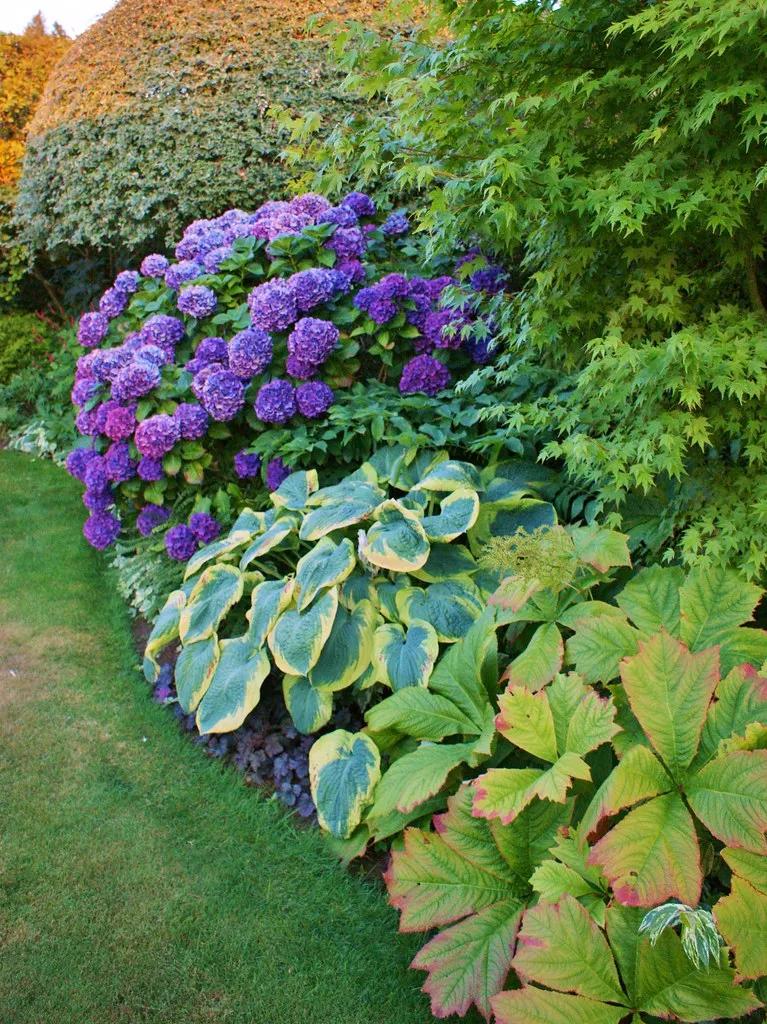 富有魅力的陰生花園營造五個要點 附耐陰植物介紹 資訊咖