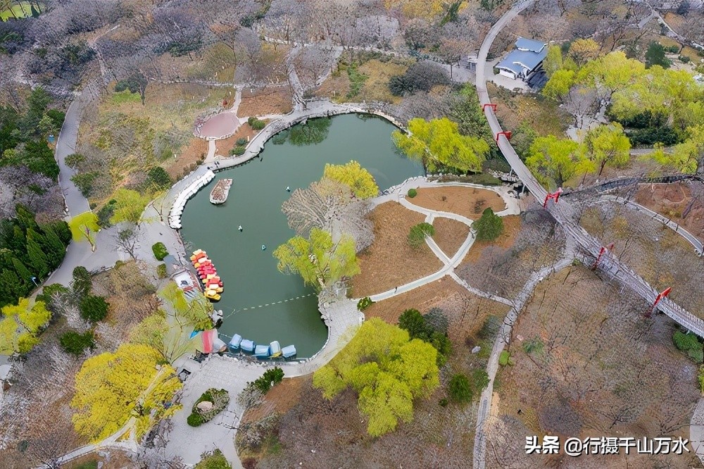 濟南泉城公園柳綠花紅 春色滿園美如畫 行攝千山萬水 Mdeditor