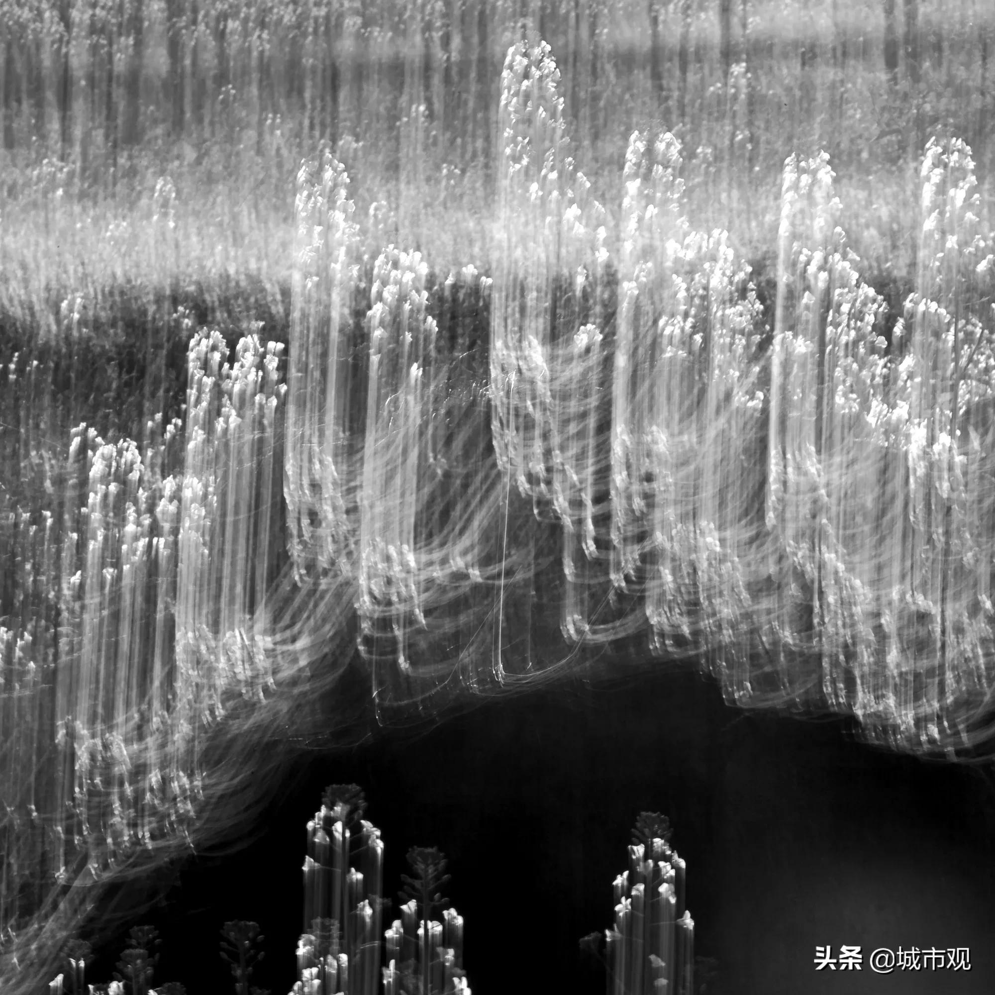 大展黔图《一轮·素念禅心》黄驿伦摄影作品在贵州师大美术馆展出