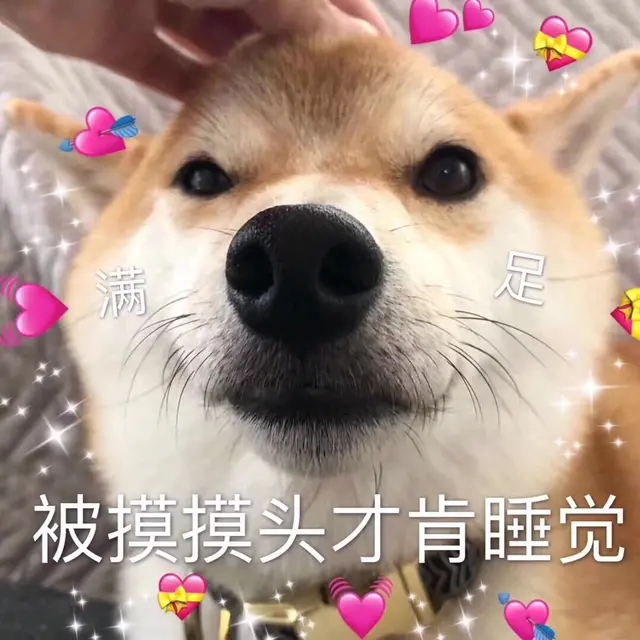 狗狗的6种性格，有没有让你头疼的事？