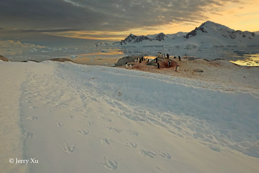你见过凌晨2点半的南极半岛吗？