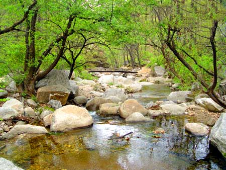 河南旅游：百车奔向嵩县天池山（图）