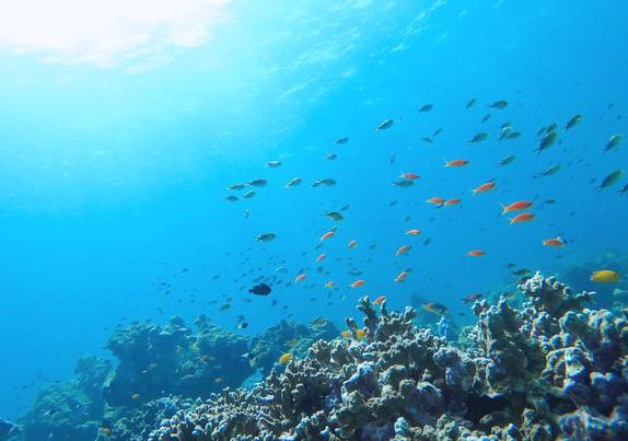 这里的海水浮力奇大 只要平躺在海面上 手脚伸直 就能漂在海上 资讯咖