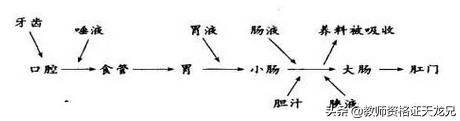 不会写板书？超全板书设计模板送给你，适用于所有学科