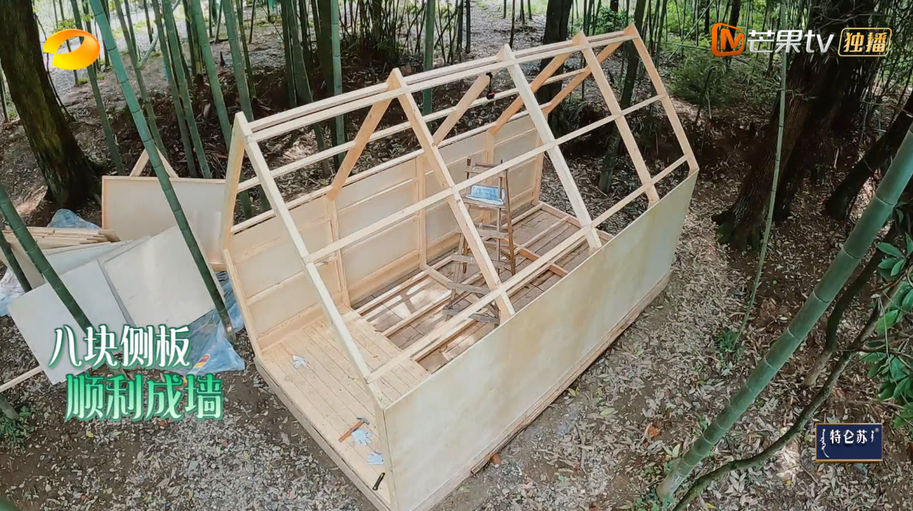 《向往5》即将收官为何大家还在“制作木屋”？