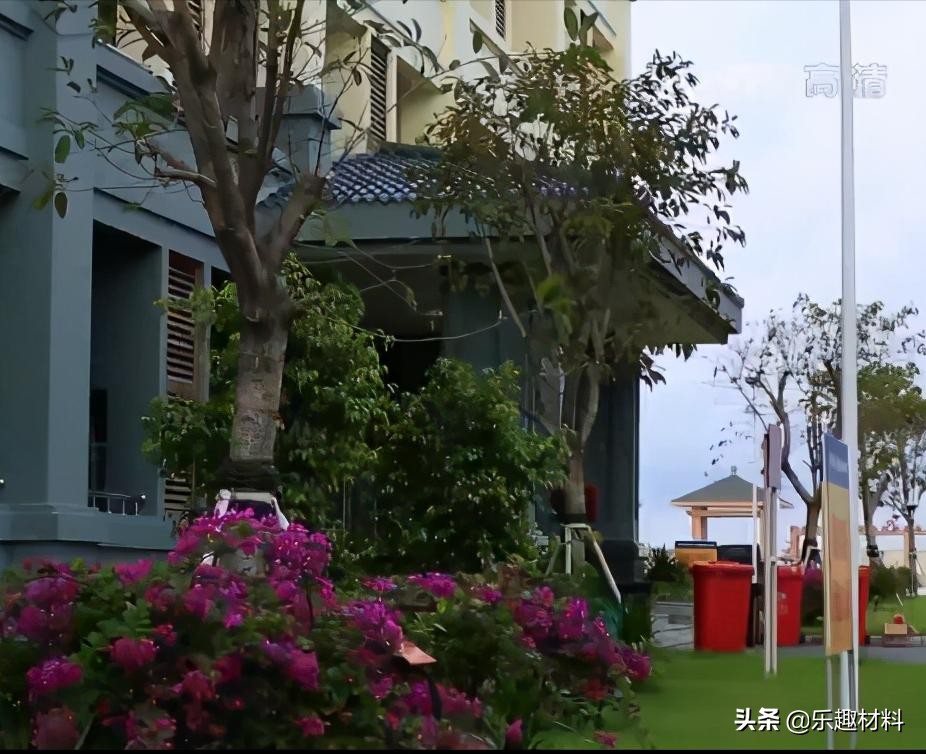 150多万株热带植物扎根南沙，三大岛加速转变成真正的自然岛