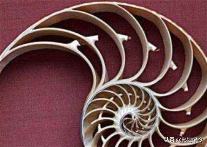 南京出土的“鹦鹉酒杯”,据说“永远喝不完”