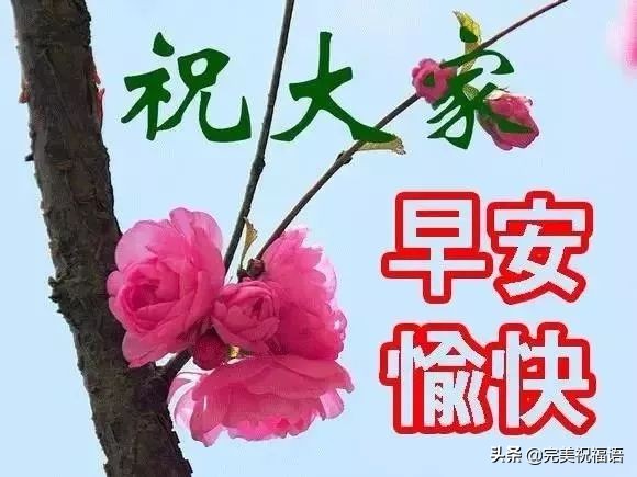 最新早安祝福问候语图片，清晨祝福大家早上好吉祥语图片