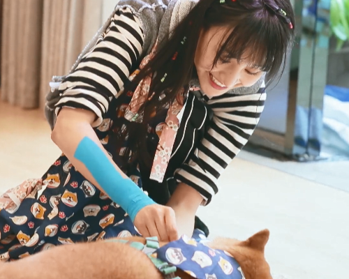 郑爽害怕狗狗咬到自己，竟然要磨平它的牙齿！