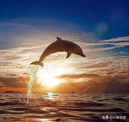 教育的本质是生命教育‖18篇精美文章，带你了解生命教育