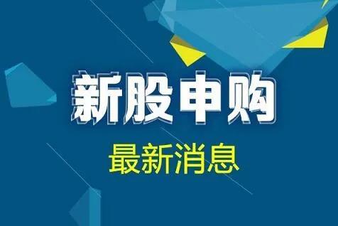 新股申购，百试不爽！了解这些细节才能提高中签率