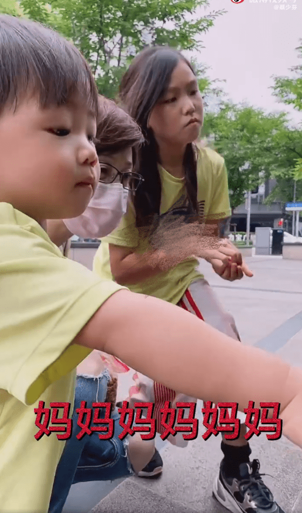蔡少芬张晋携儿女喂流浪猫，一家五口幸福同框，鱼蛋小奶音超萌