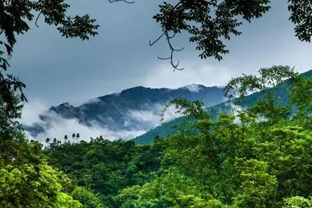 另一个角度看海南！重磅经济政策下的海南，那