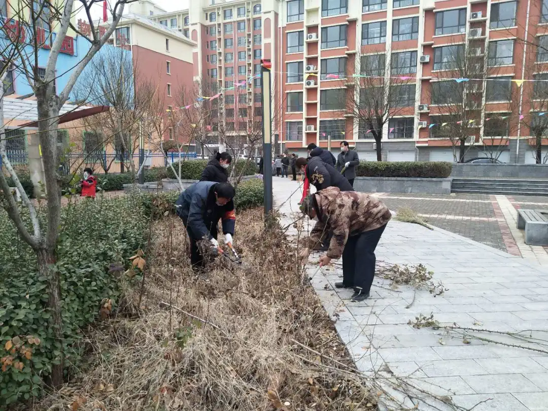 喜报！运河丽景项目荣获故城县2020年度”卫生小区“荣誉