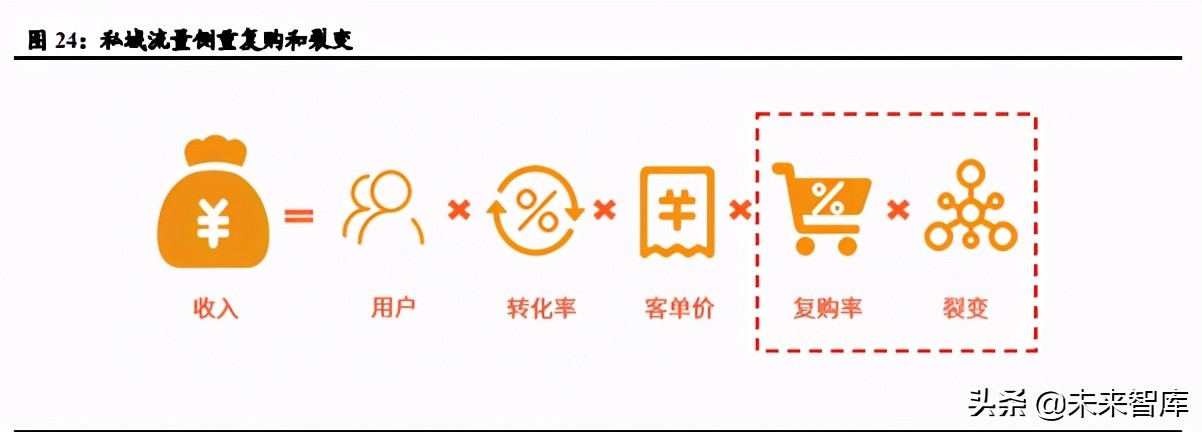 私域电商SaaS行业研究：助力全场景数字化，享去中心化红利