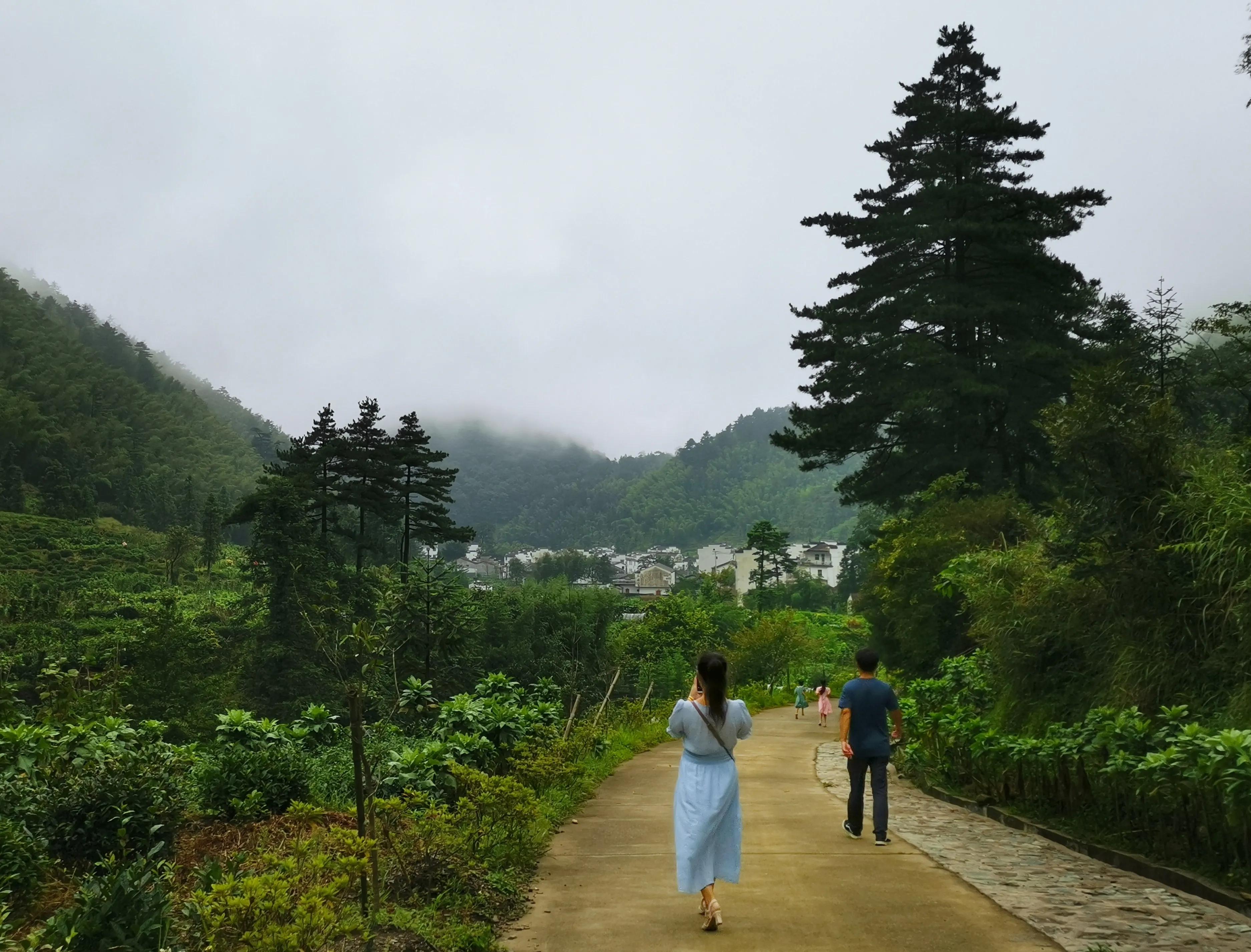 夏天去婺源：920米鄣山村避暑，13公里密林穿越，雨天看卧龙美景