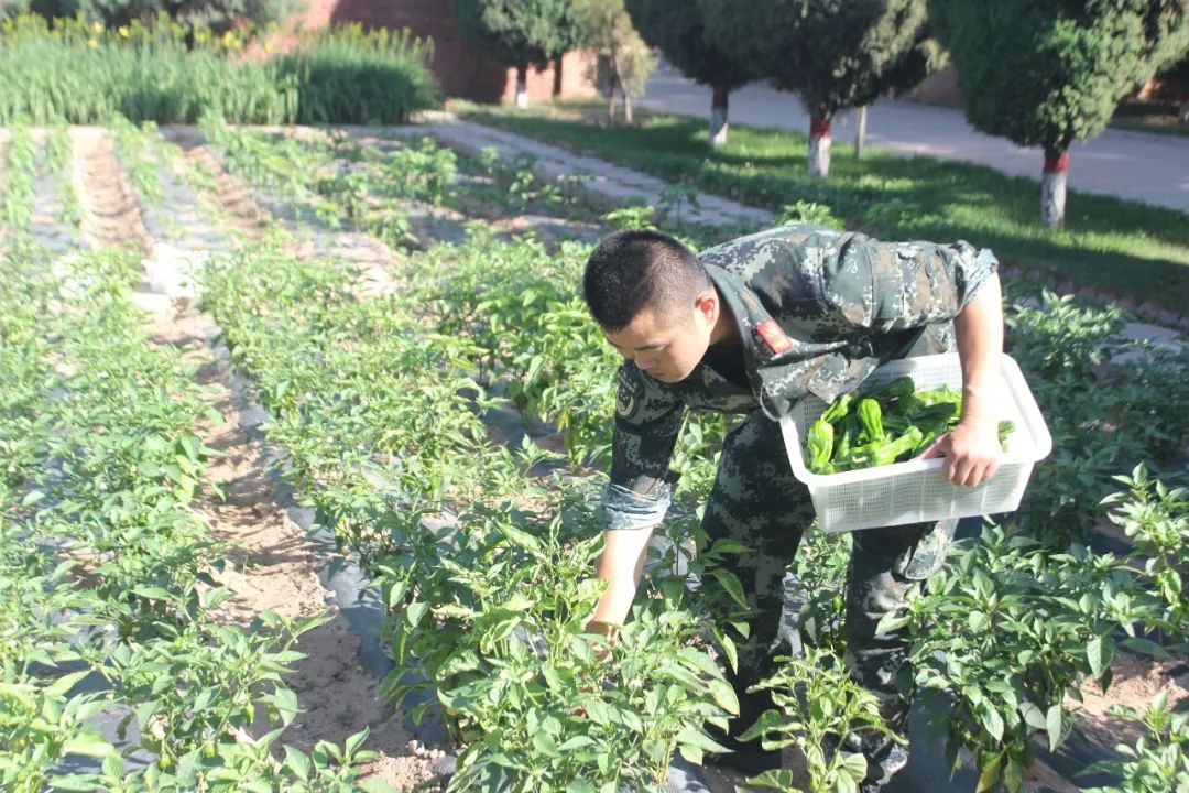 侯<a href=http://www.cngansu.cn/news/ target=_blank class=infotextkey></a>֧ܶӣٱ ḻӡ