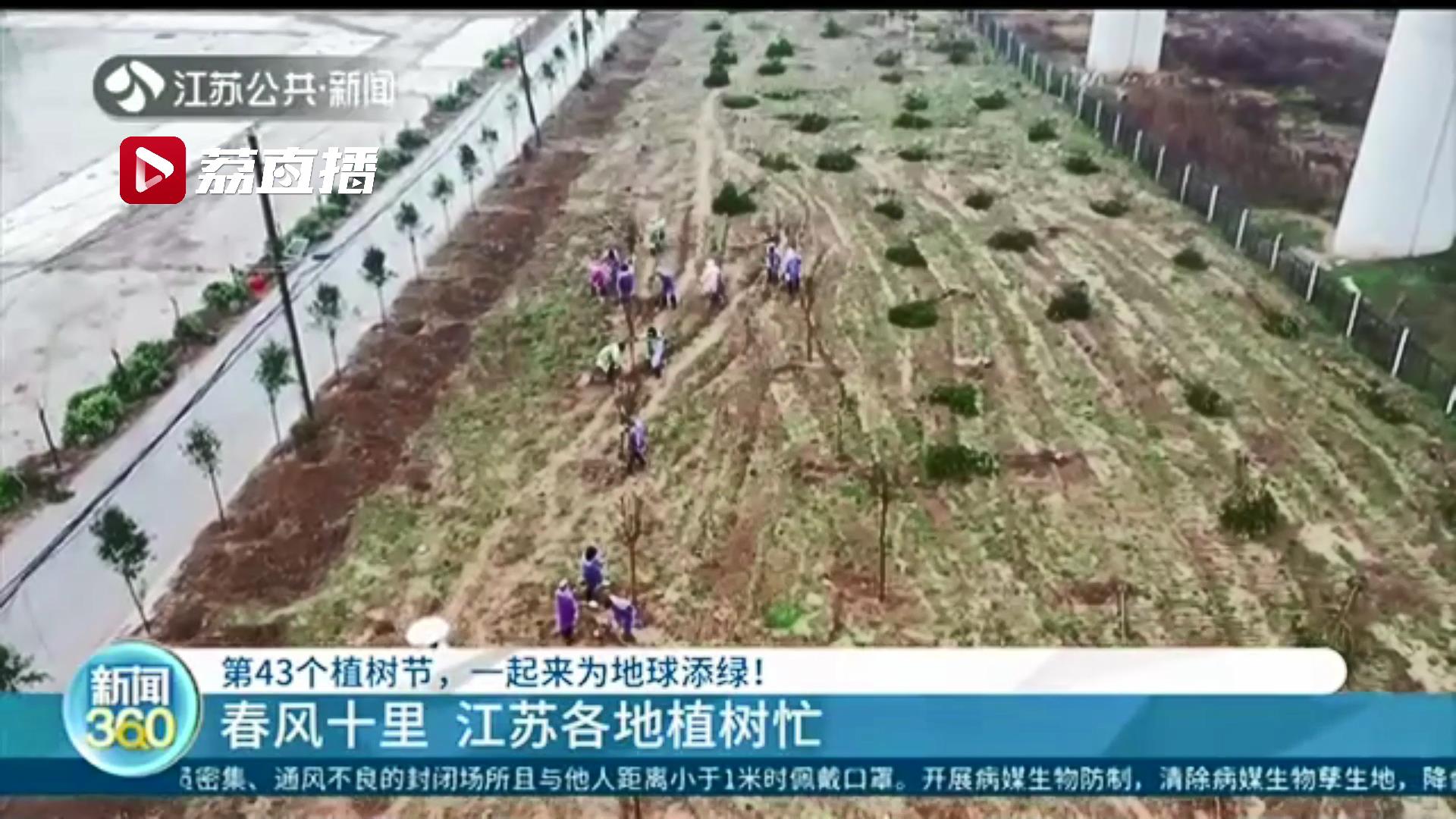 第43个植树节，江苏各地植树增绿为城市绿化“添砖加瓦”