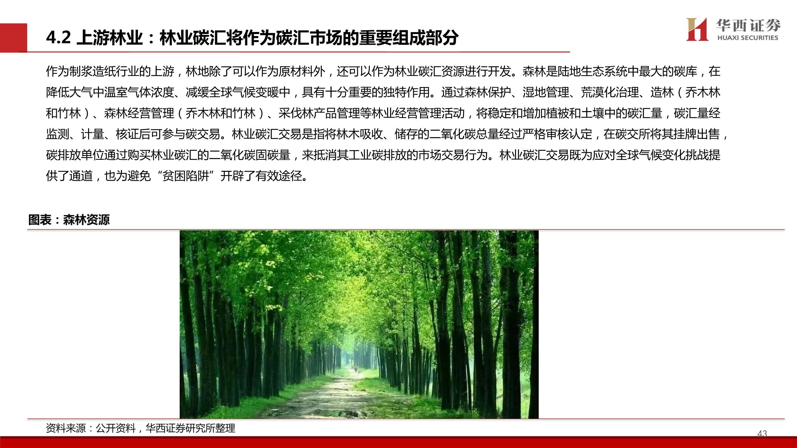 造纸行业碳中和专题报告：林业碳汇百亿市场蓄势待发