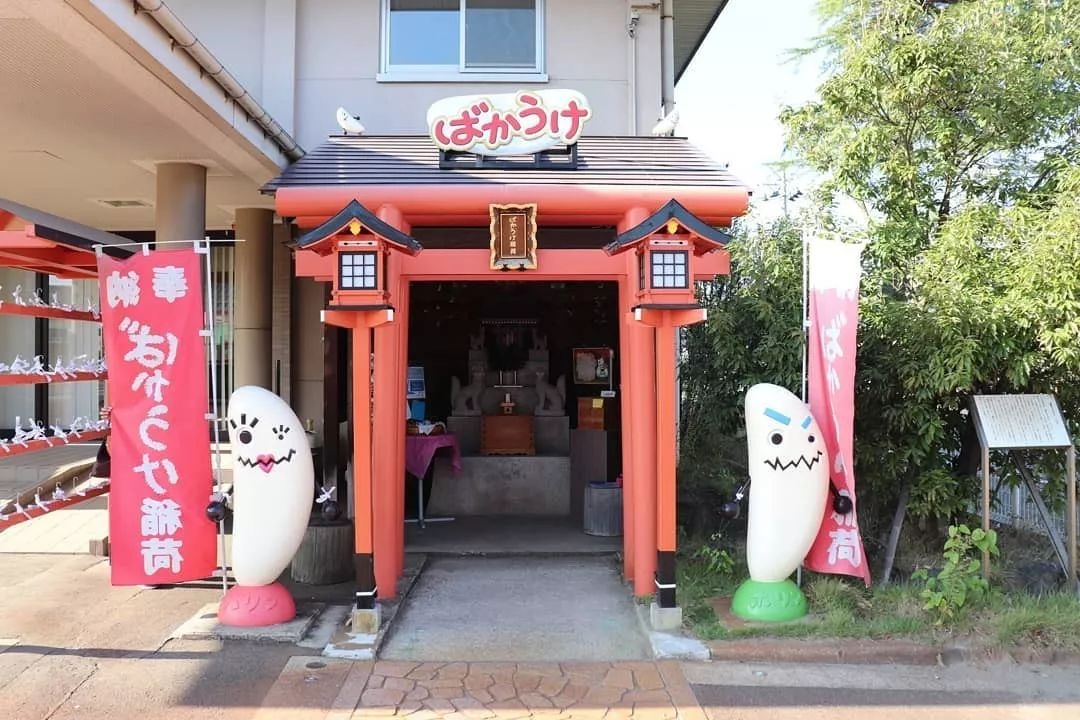 日本美食工业旅游：精彩纷呈，体验丰富