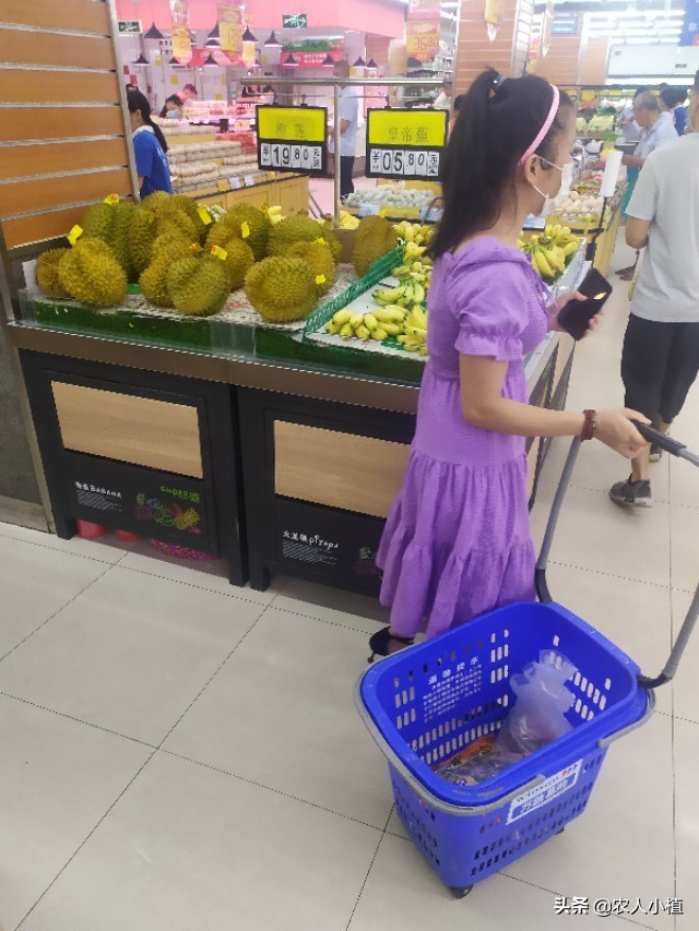 想知道市面上热销的水果价格吗？这里统统告诉你