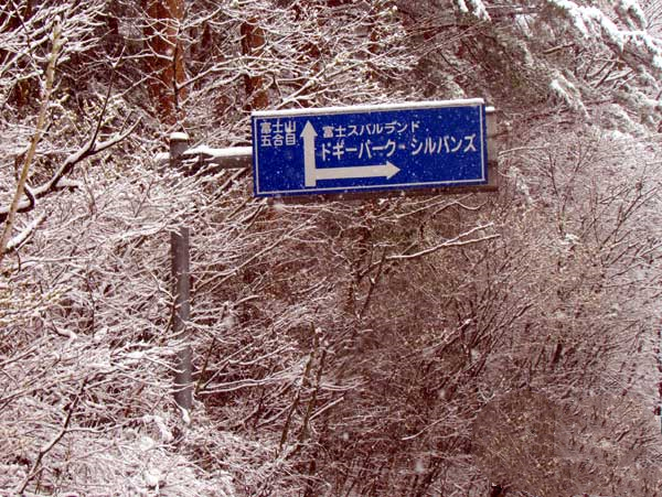 日本琦玉助威北京国安足球队亚冠赛（图）