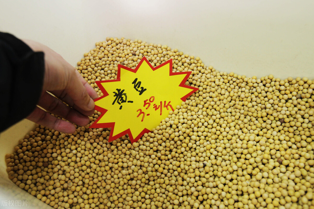 大豆大涨55%，2个月进口1341万吨，大豆保卫战打响，还涨