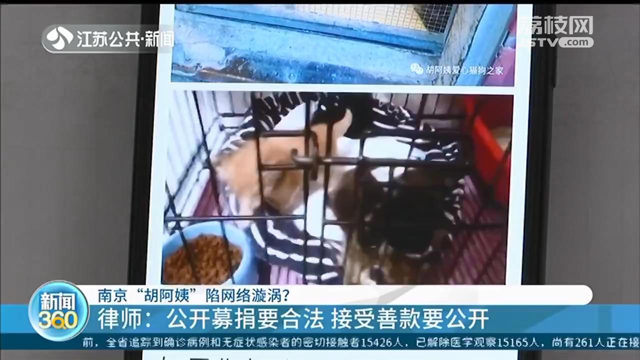 靠好心人帮助，多年坚持喂养流浪猫 南京“胡阿姨”回应网络漩涡