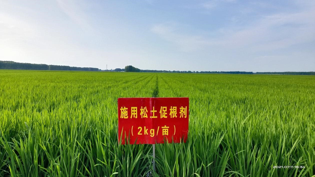 搞農(nóng)業(yè)種植，一定要學(xué)會向科學(xué)技術(shù)要產(chǎn)量