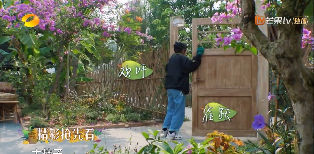《向往4》首批嘉宾都是关系户，黄磊差别对待，彭昱畅发际线亮了