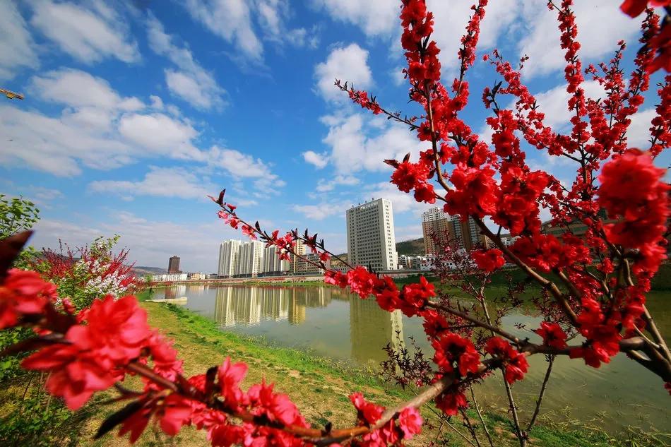 秦州区成功创建为省级全域旅游示范区，一起为美丽家乡点赞