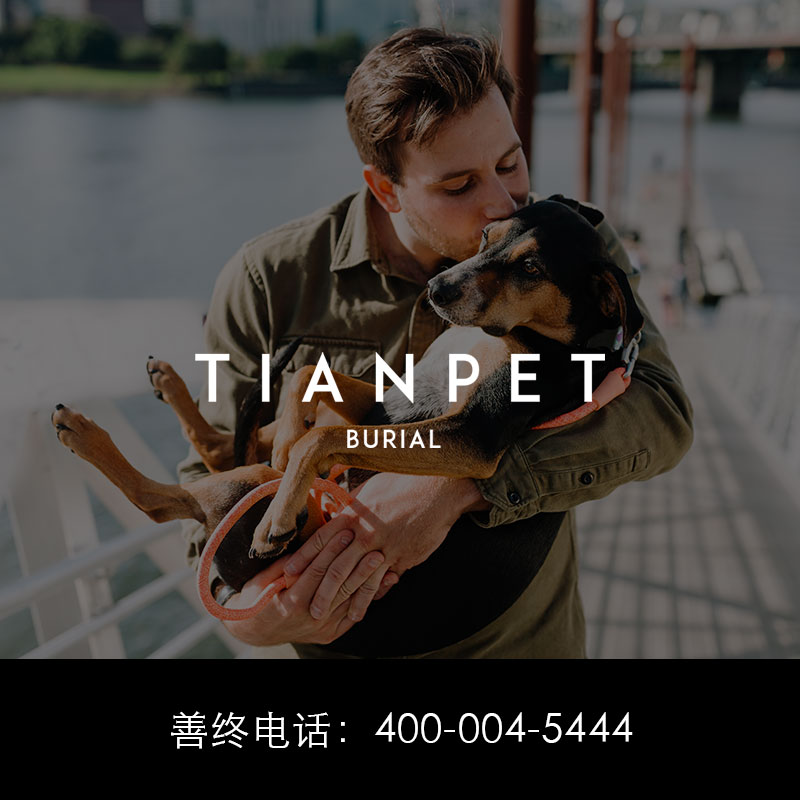 宁波宠物火化｜TIANPET天宠开业 给他上天般的宠爱