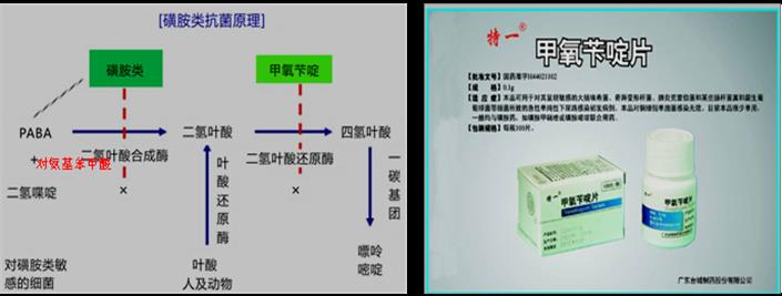 抗菌药物，磺胺类抗菌药物及甲氧苄啶