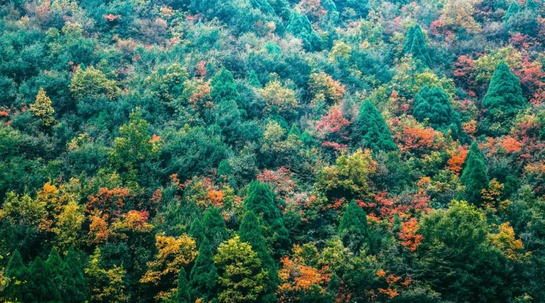 Shanxi's beautiful tourist check-in place, it becomes a paradise on earth in autumn, which is amazing