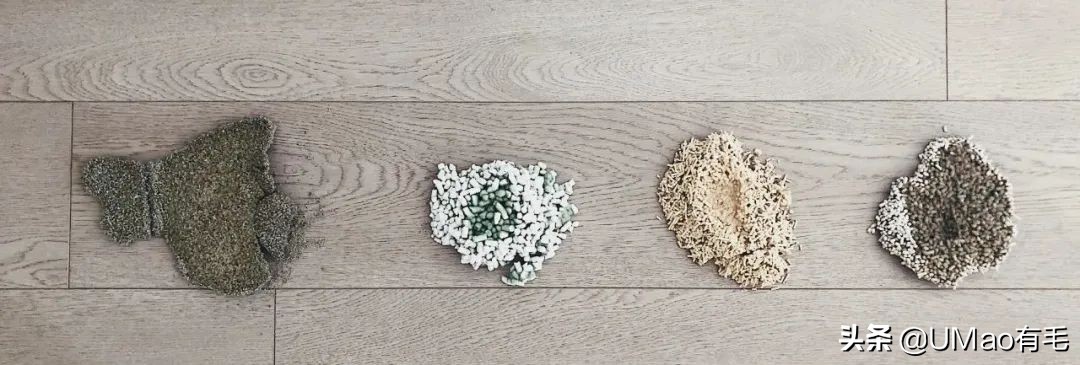 矿物砂、膨润土、纸砂、混合砂，究竟选哪一种？小猫咪试给你看
