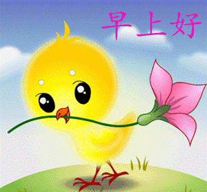 清晨太阳升起明亮你的心情 一声问候温暖你的心情图片