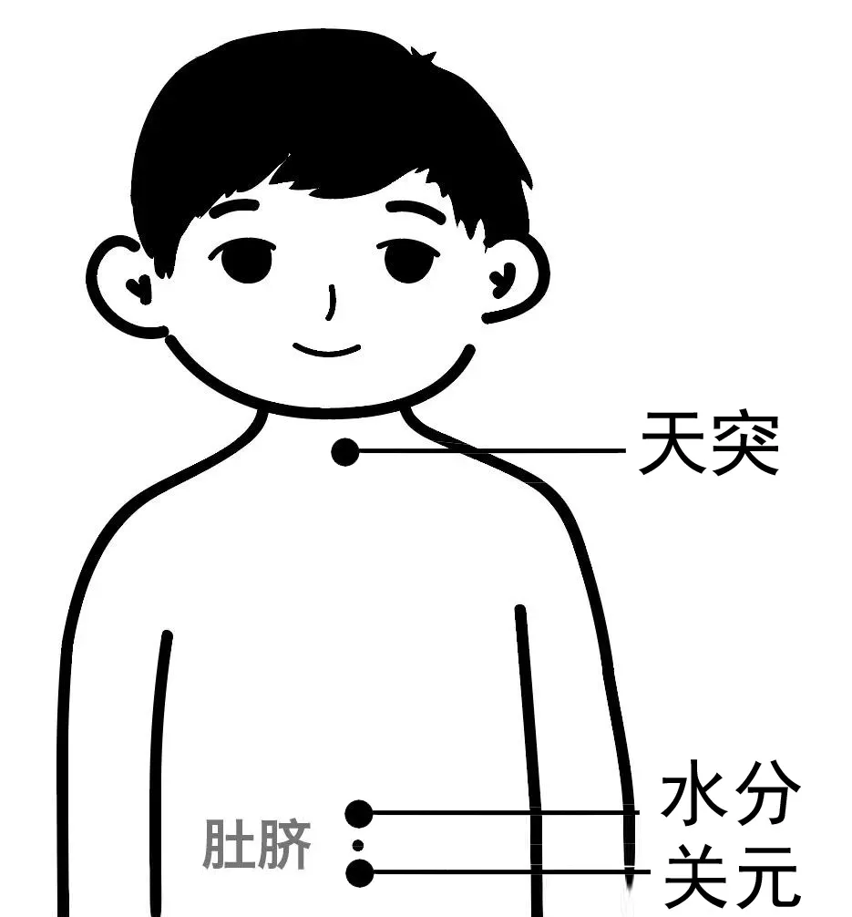 小儿三伏贴位置图片图片